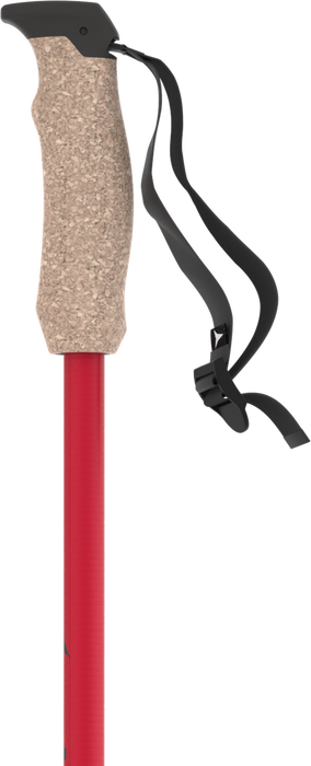 AMT CARBONO AMT CARBONO