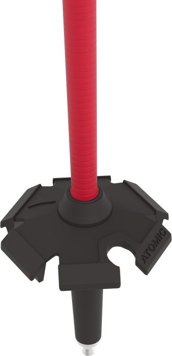 AMT CARBONO AMT CARBONO