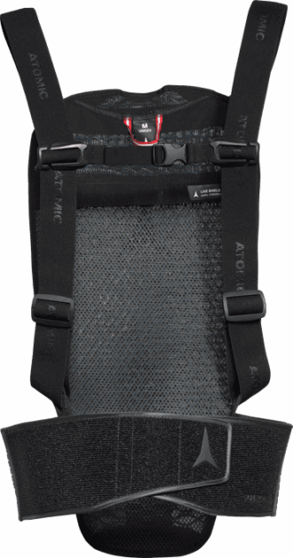 ESCUDO VIVO EN MEDIO DE LA LUZ